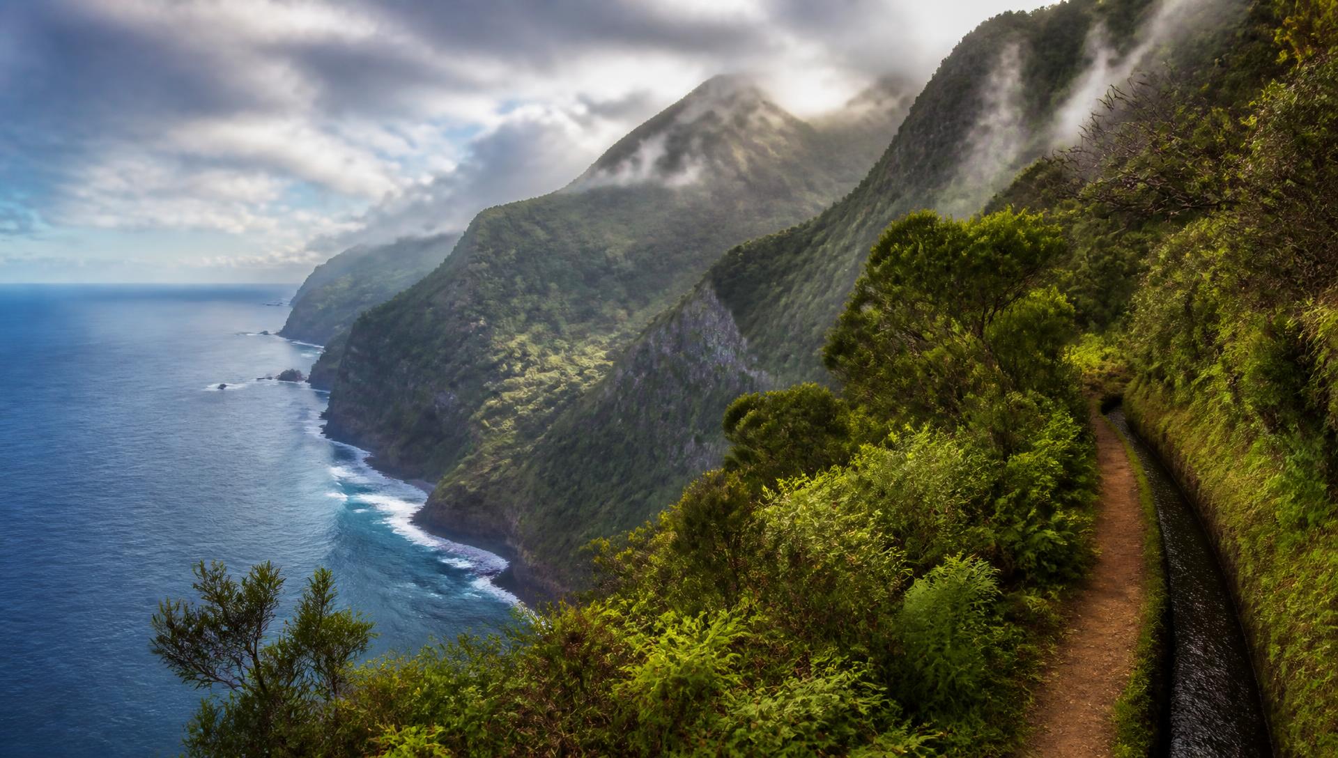 Dramatic green cliffs of Madeira rising from the Atlantic Ocean with levada trails