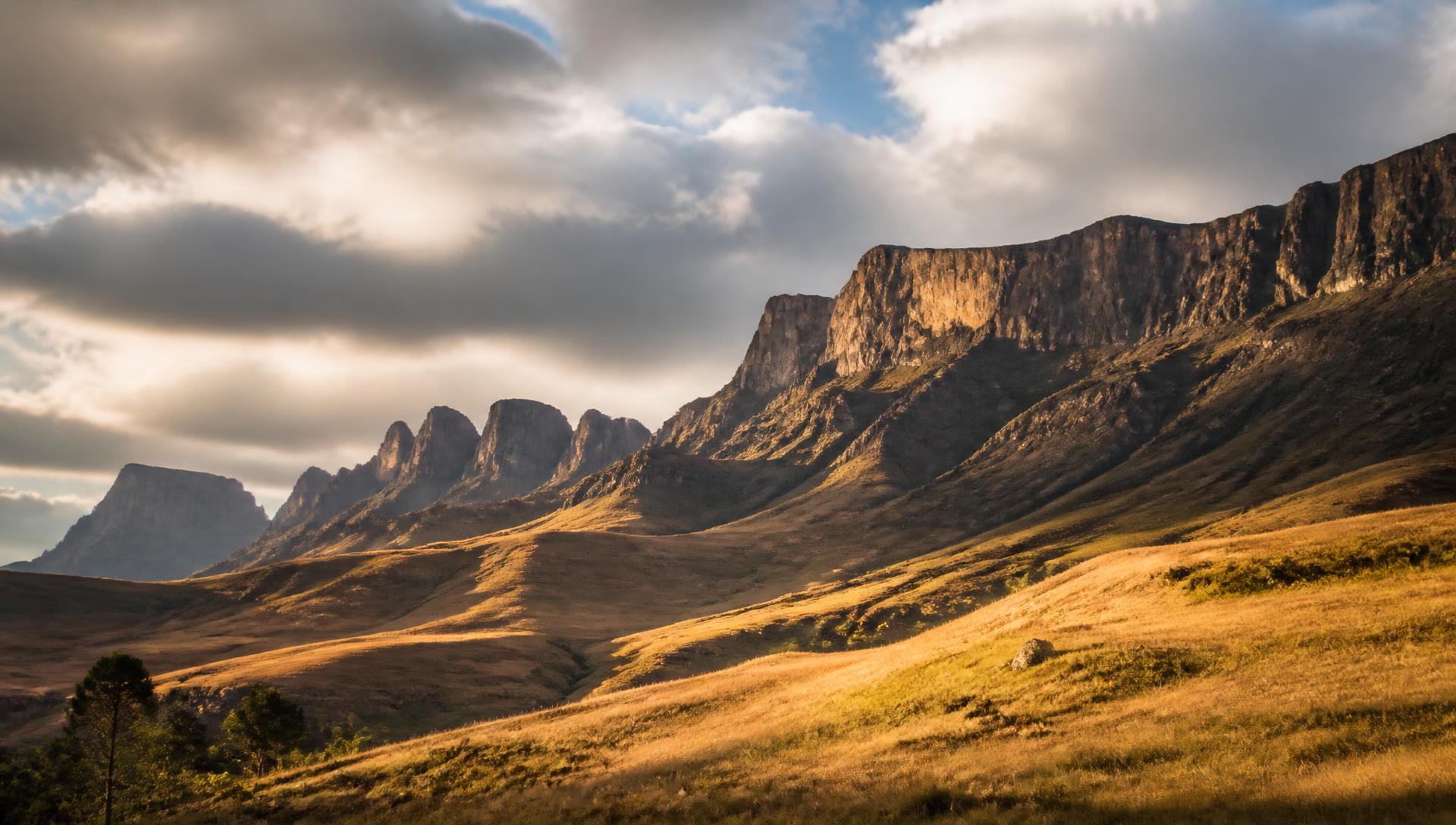 The jagged basalt escarpment of the Drakensberg rising above golden grassland at sunset